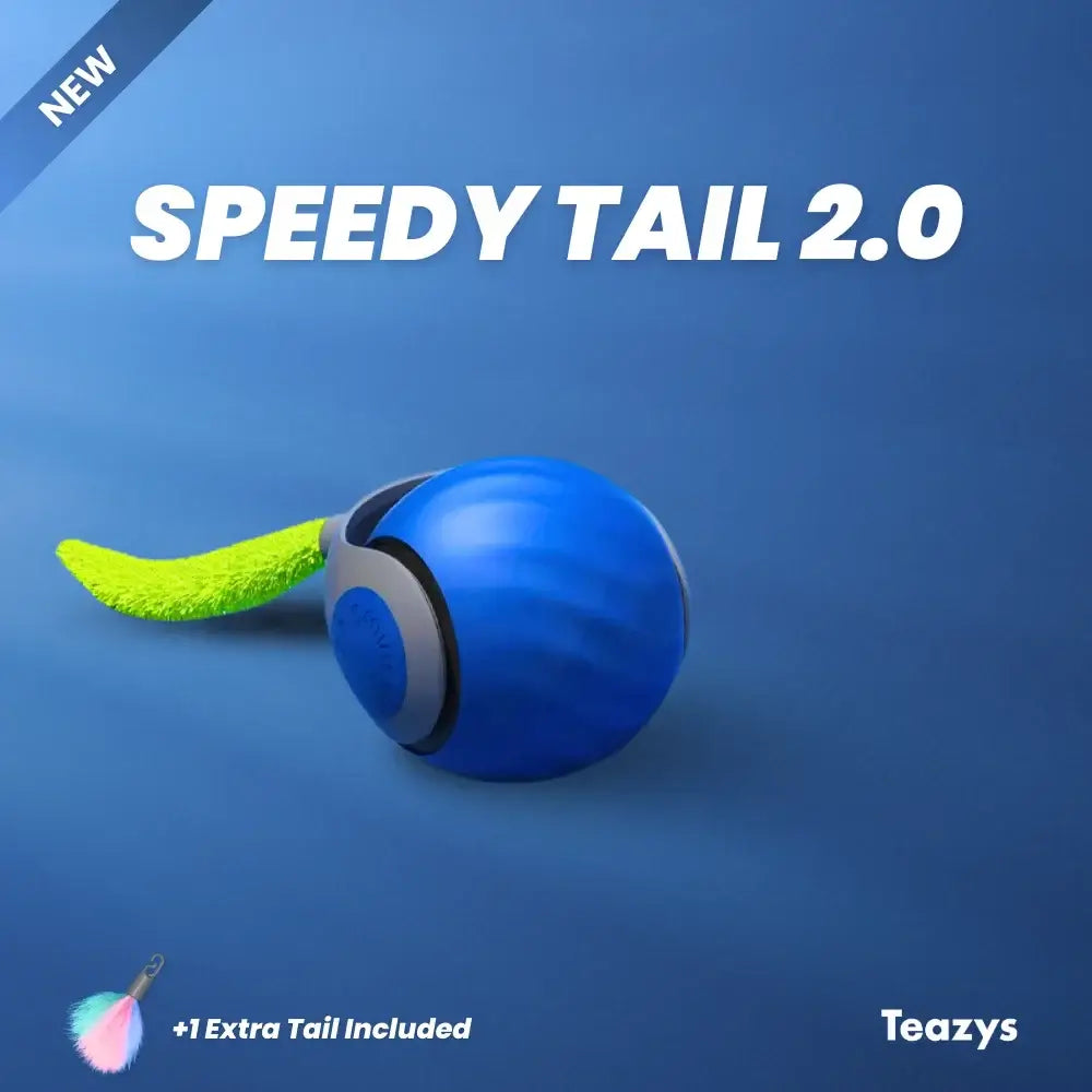 SPEEDY TAIL 2.0