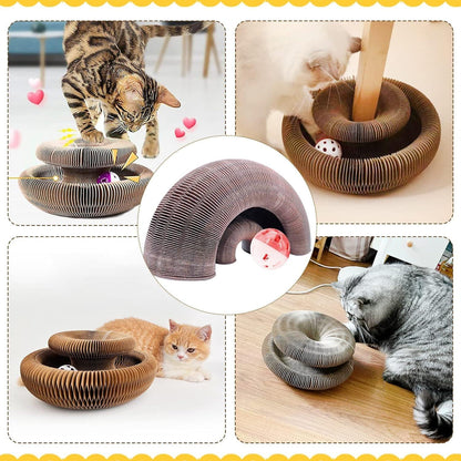 🐱Magic Foldable Scratcher & Cat Bed🛌 - Buy 2 & Save 20% - ONLY TODAY